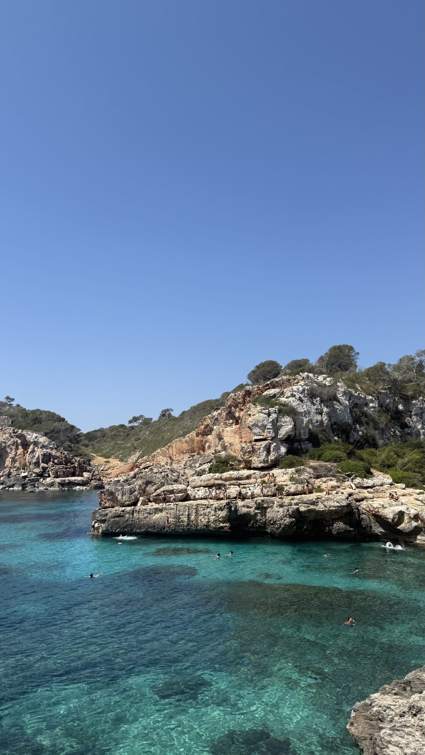 Cala s