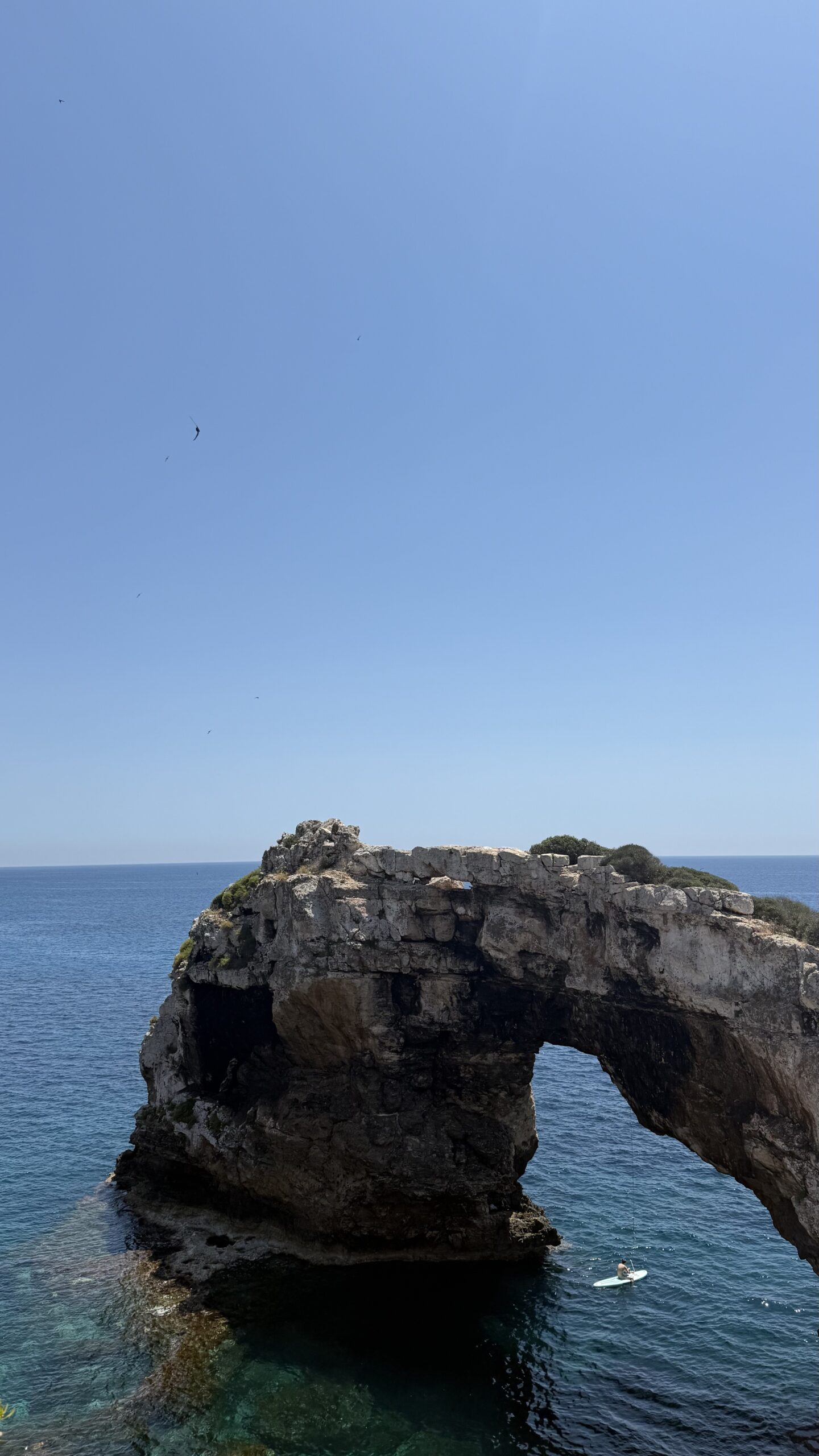 pontas