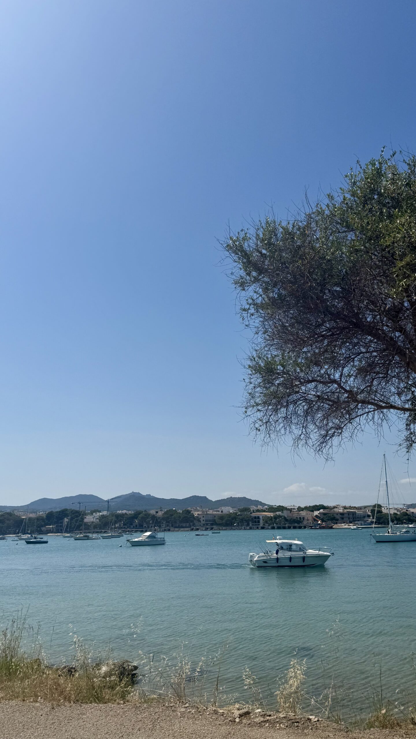 Porto Colom