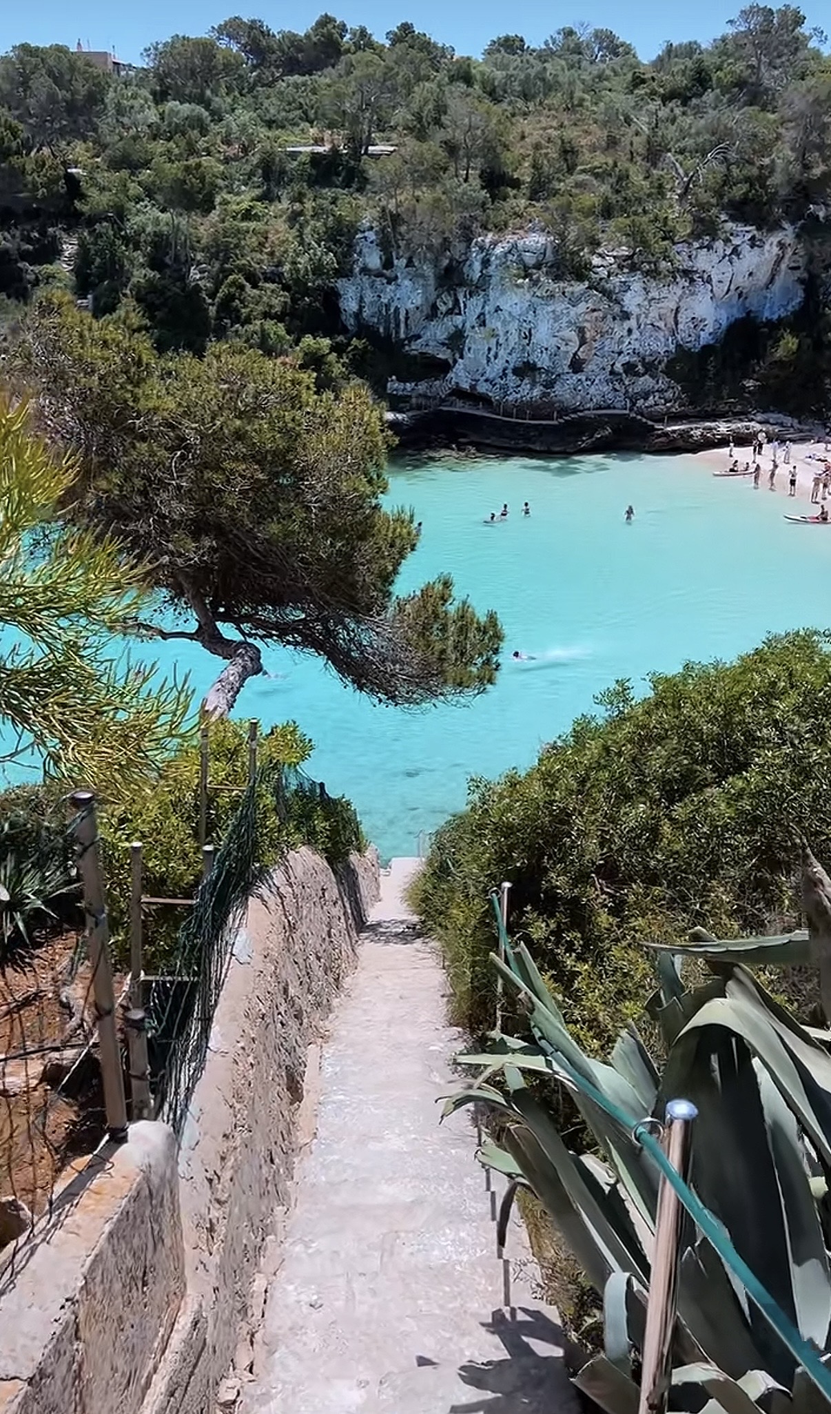 cala llomabards