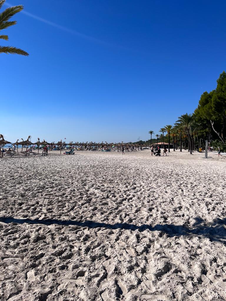 Playa de Alcudia