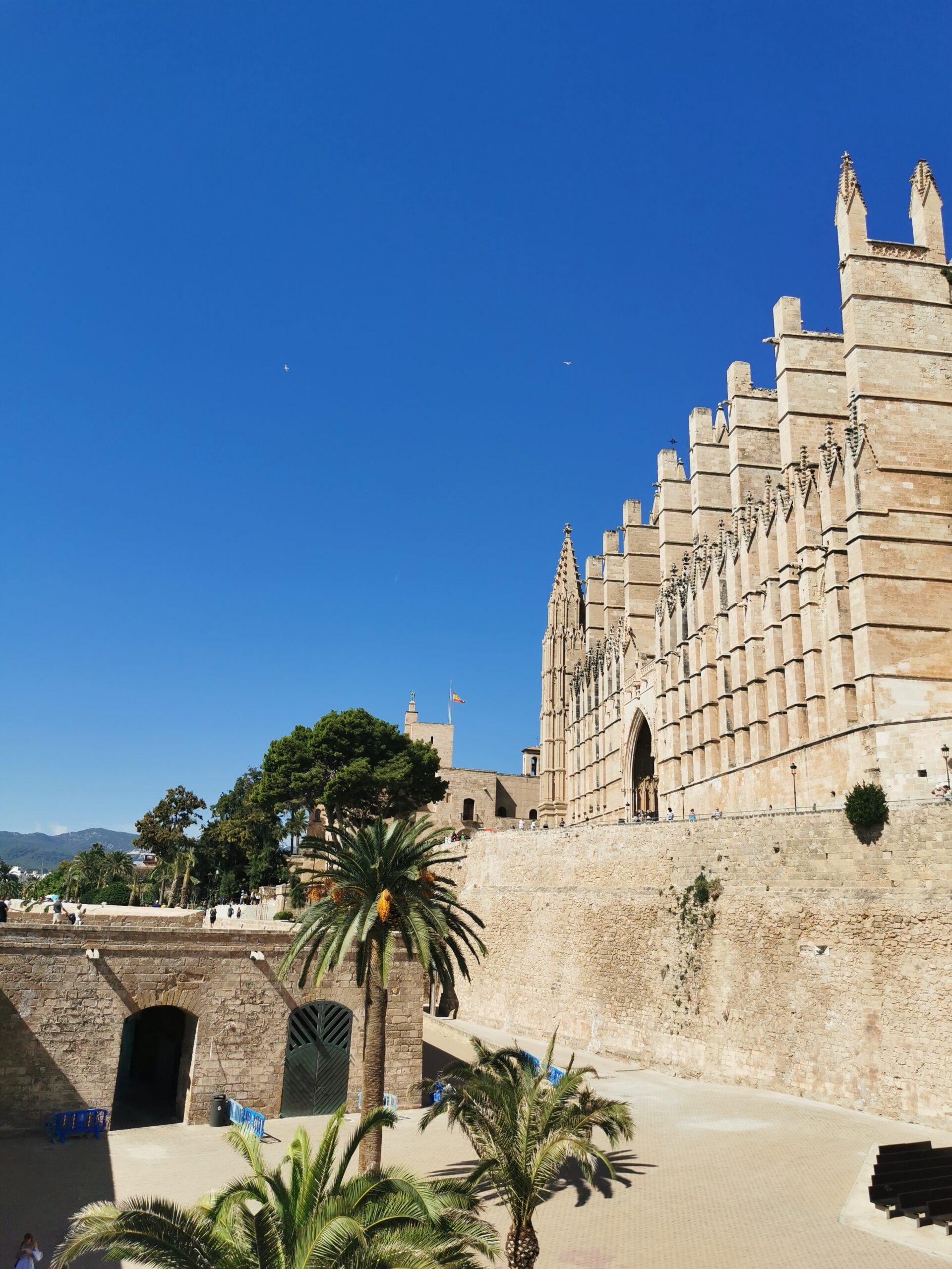Katedra La Seu w Palmie