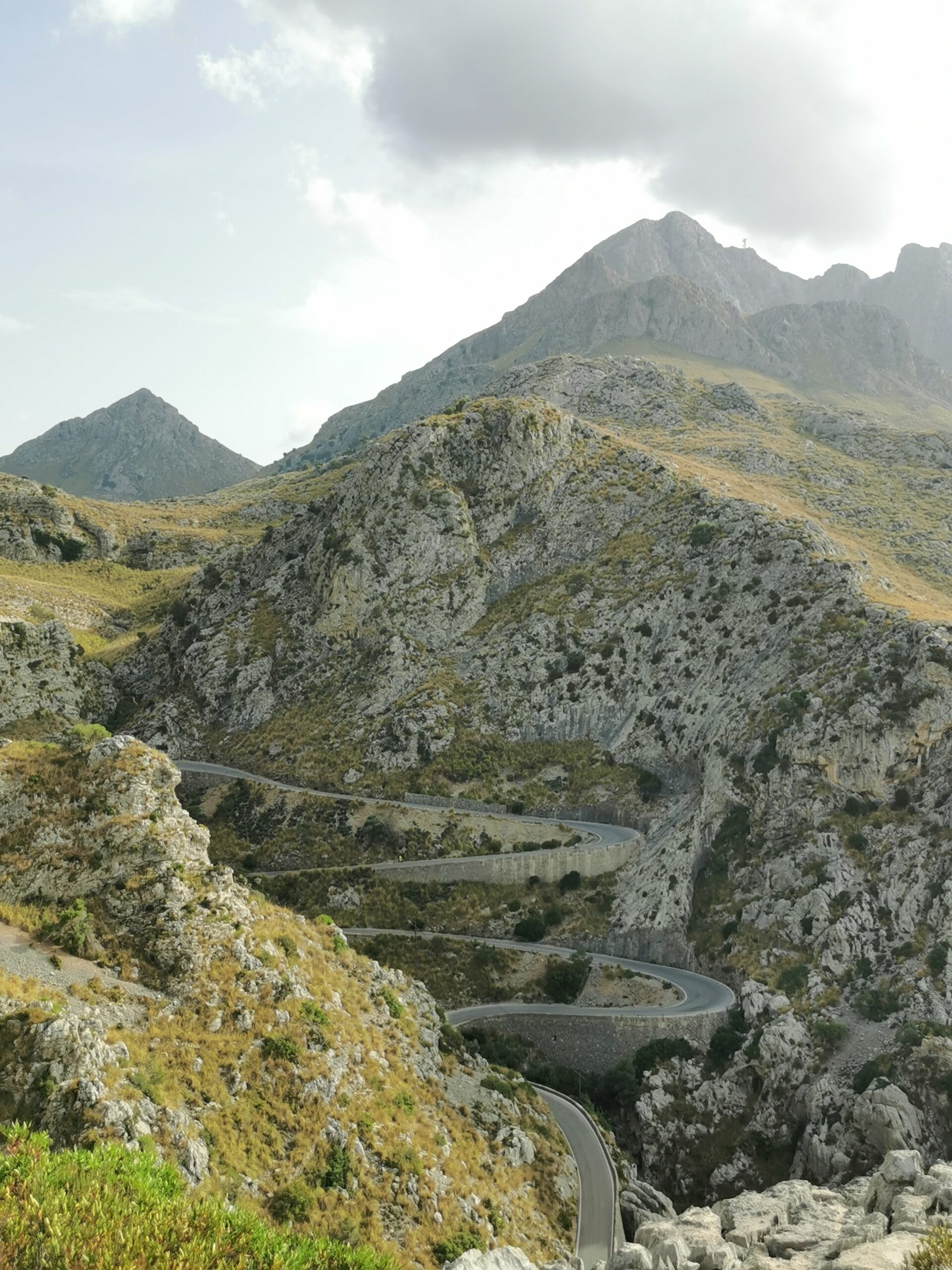 sacalobra