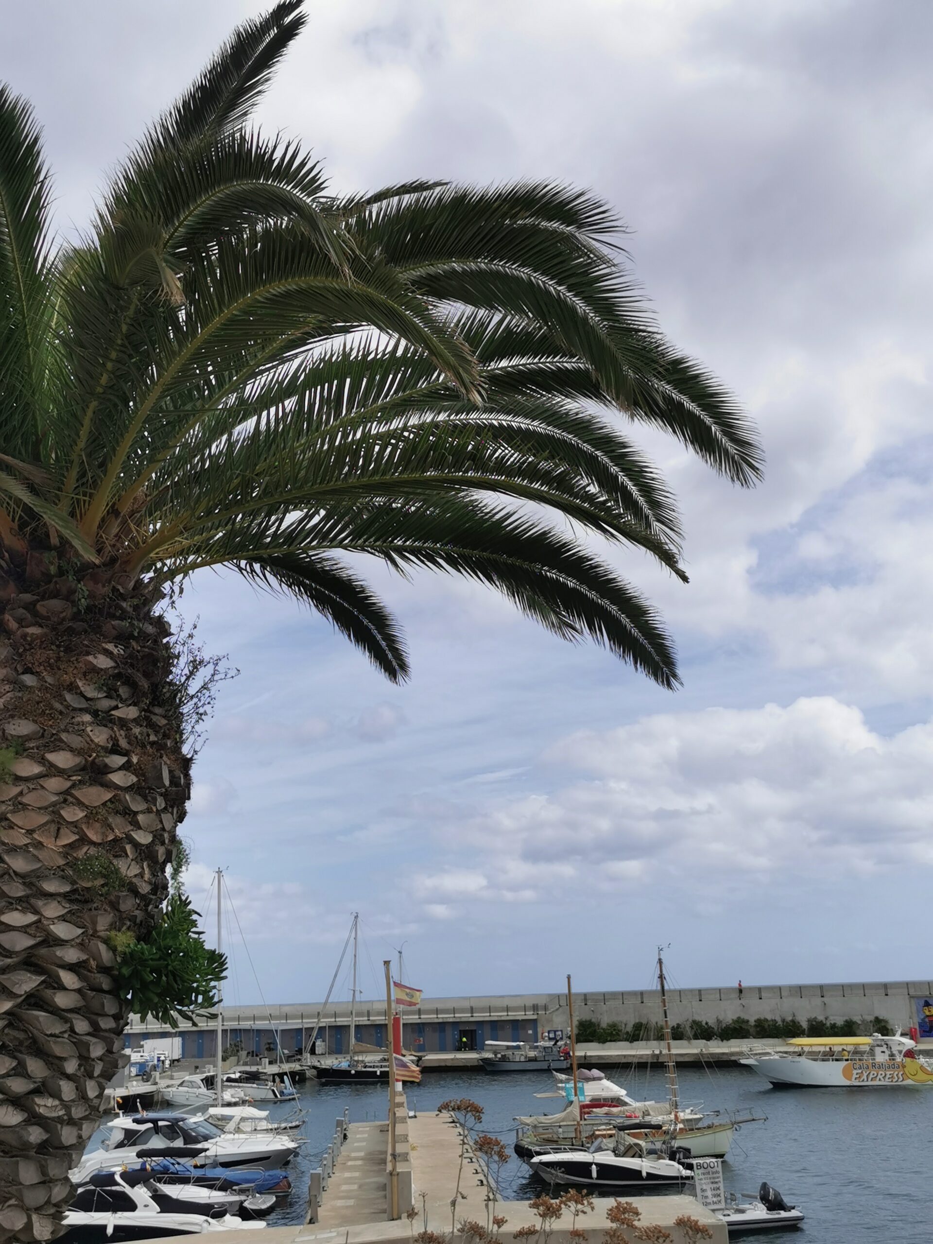 Cala Ratjada
